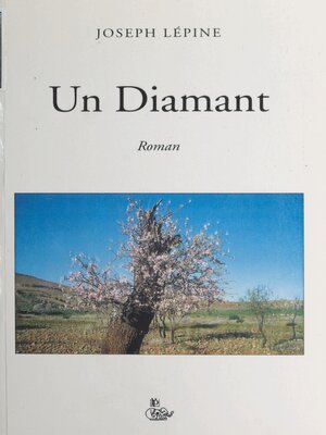 cover image of Un diamant